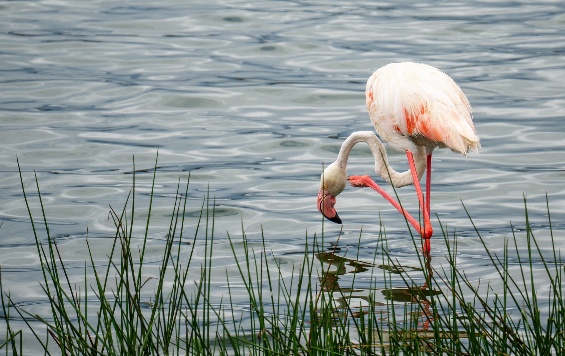Lake Manyara